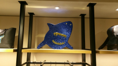 COACH display props