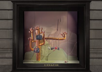 COACH Americana Cactus